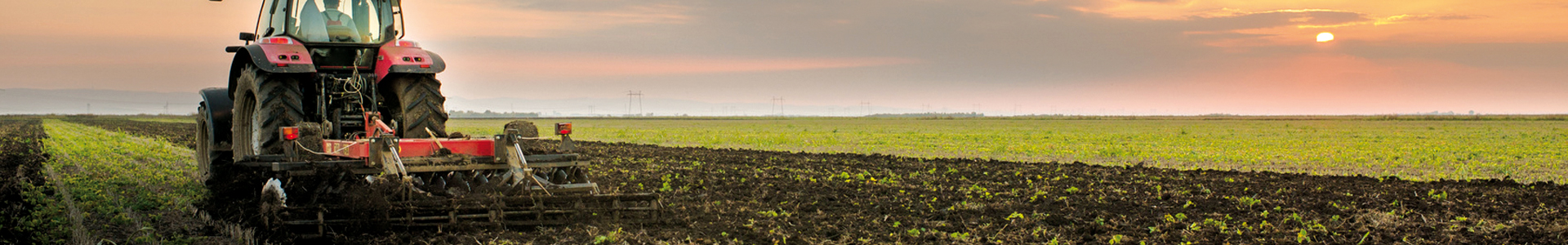 Kategorie Platzhalter Banner Feld